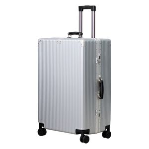 솔리도 - L01FX2S9 / 화물용 캐리어 29인치