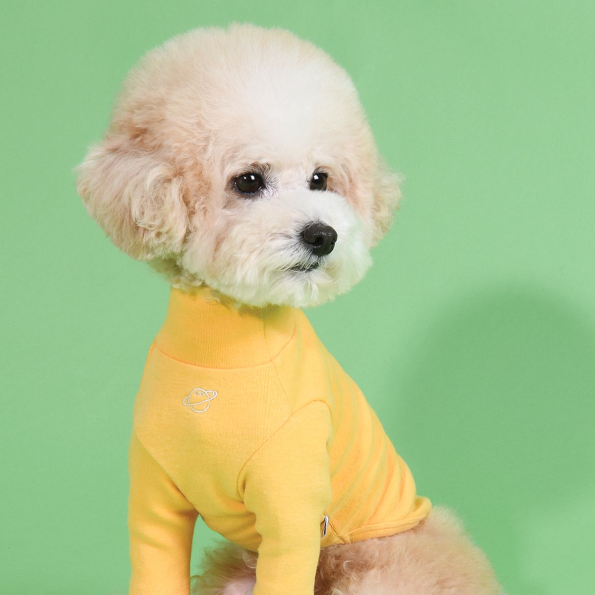 쁘띠몽드(PETIT MONDE) 베이직 하이넥 이너 폴라티셔츠 옐로우