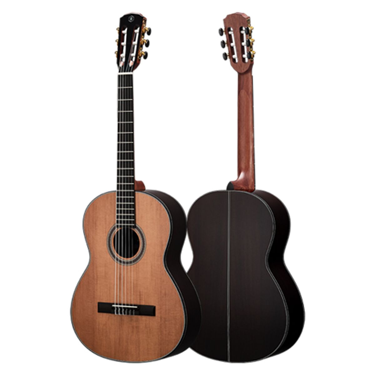 헥스기타(HEXGUITARS) 클래식기타 POLLEN 시리즈 C350
