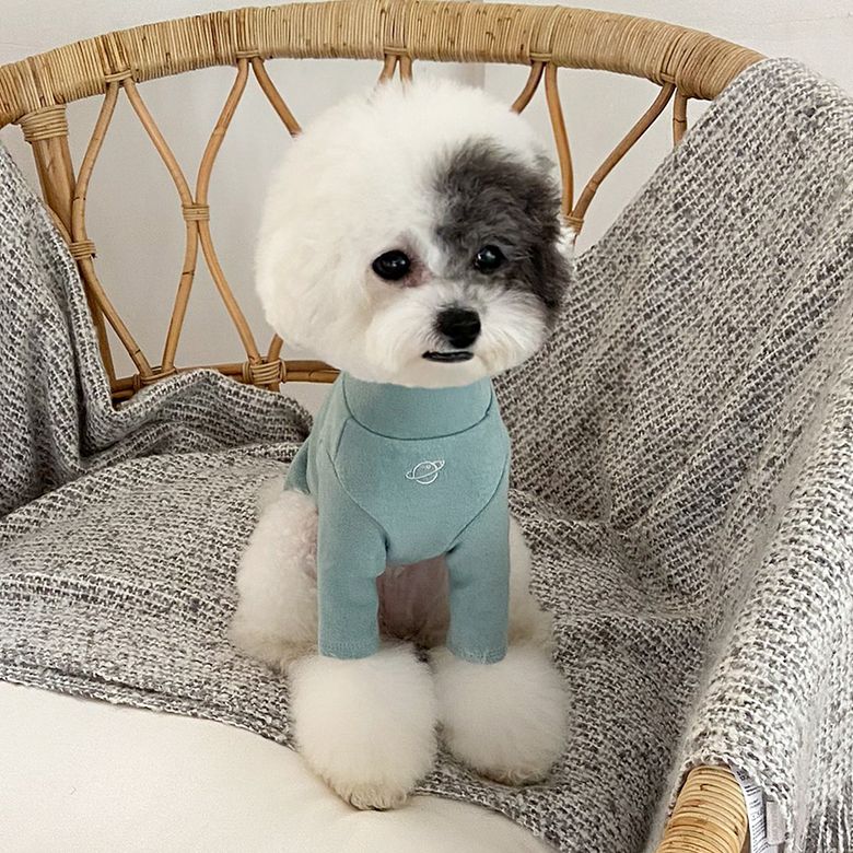 베이직 하이넥 이너 폴라티셔츠 민트