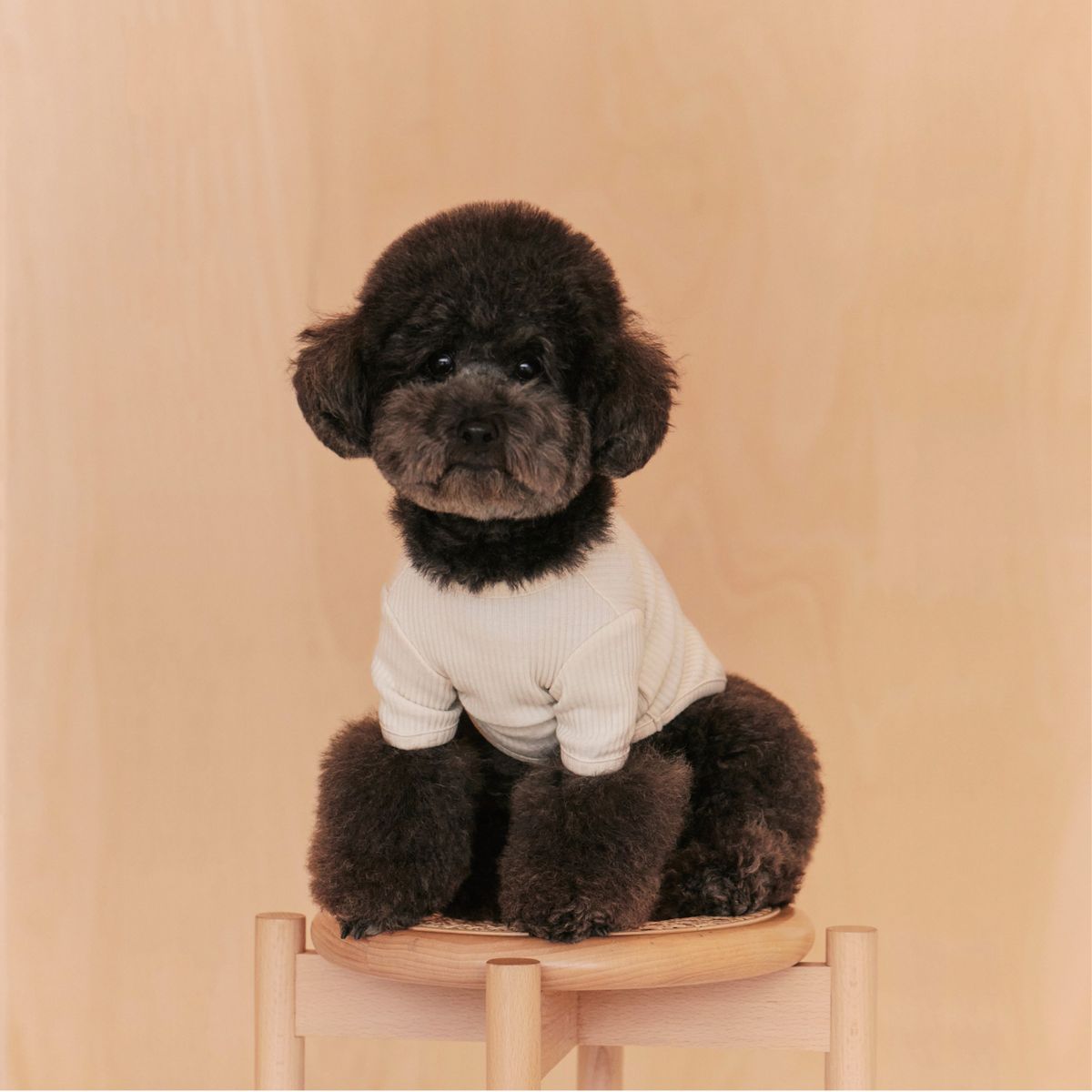 헤이버디(HEY BUDDY) 버디 와펜 티셔츠_크림