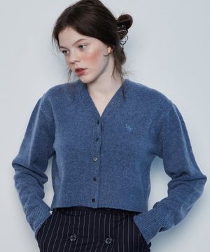 IN CROP KNIT CARDIGAN (BLUE)