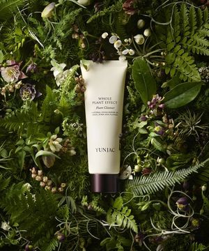 전초 폼 클렌저 120ml