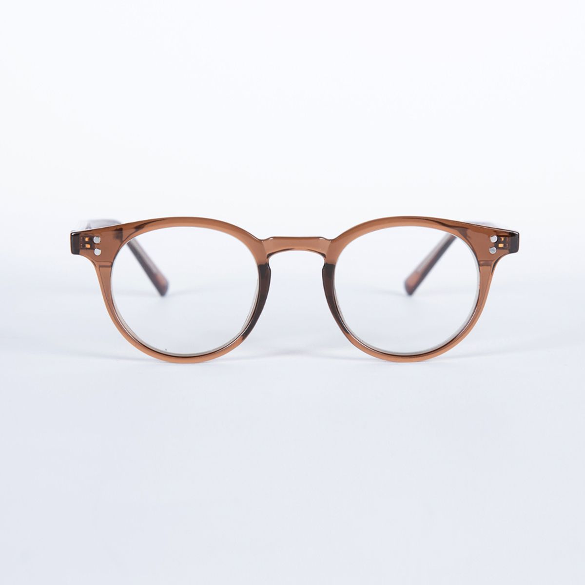 하이비션(HYBITION) Coel Brown