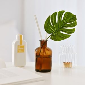 향기에 집중한 디퓨저 플라워 (카네이션/몬스테라) 기프트 세트 150ml