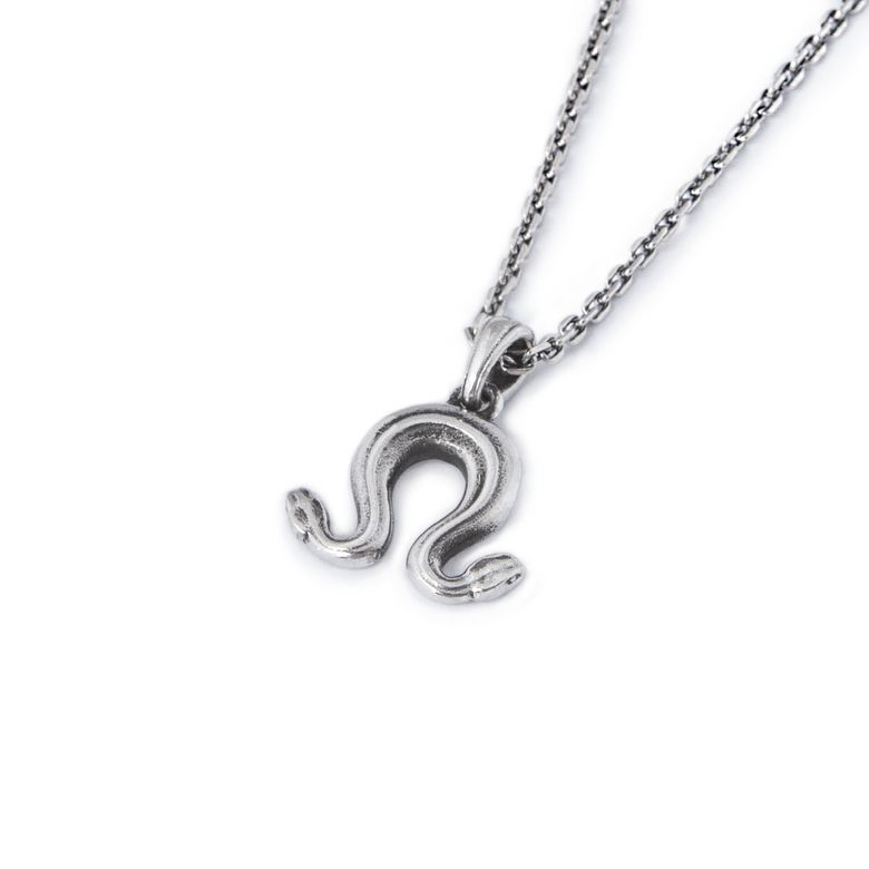 Omega Snake Pendant