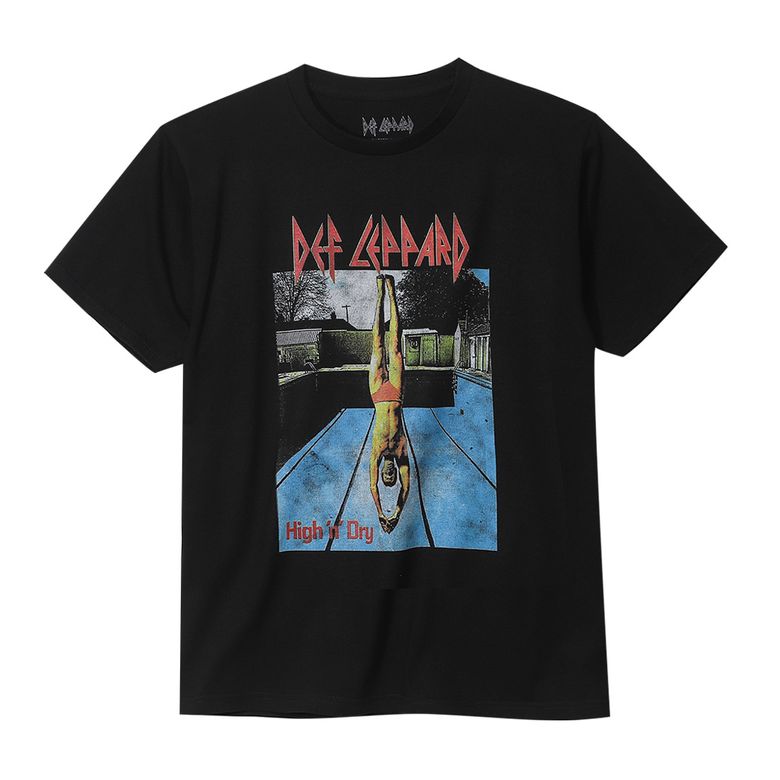 DEF LEPPARD HIGH N DRY 2 BK (BRENT2161)