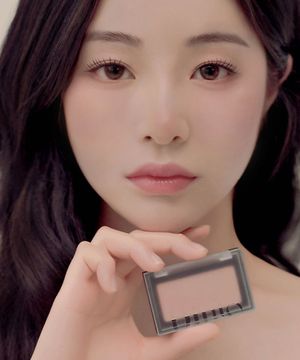 블러피니쉬 블러셔 10종