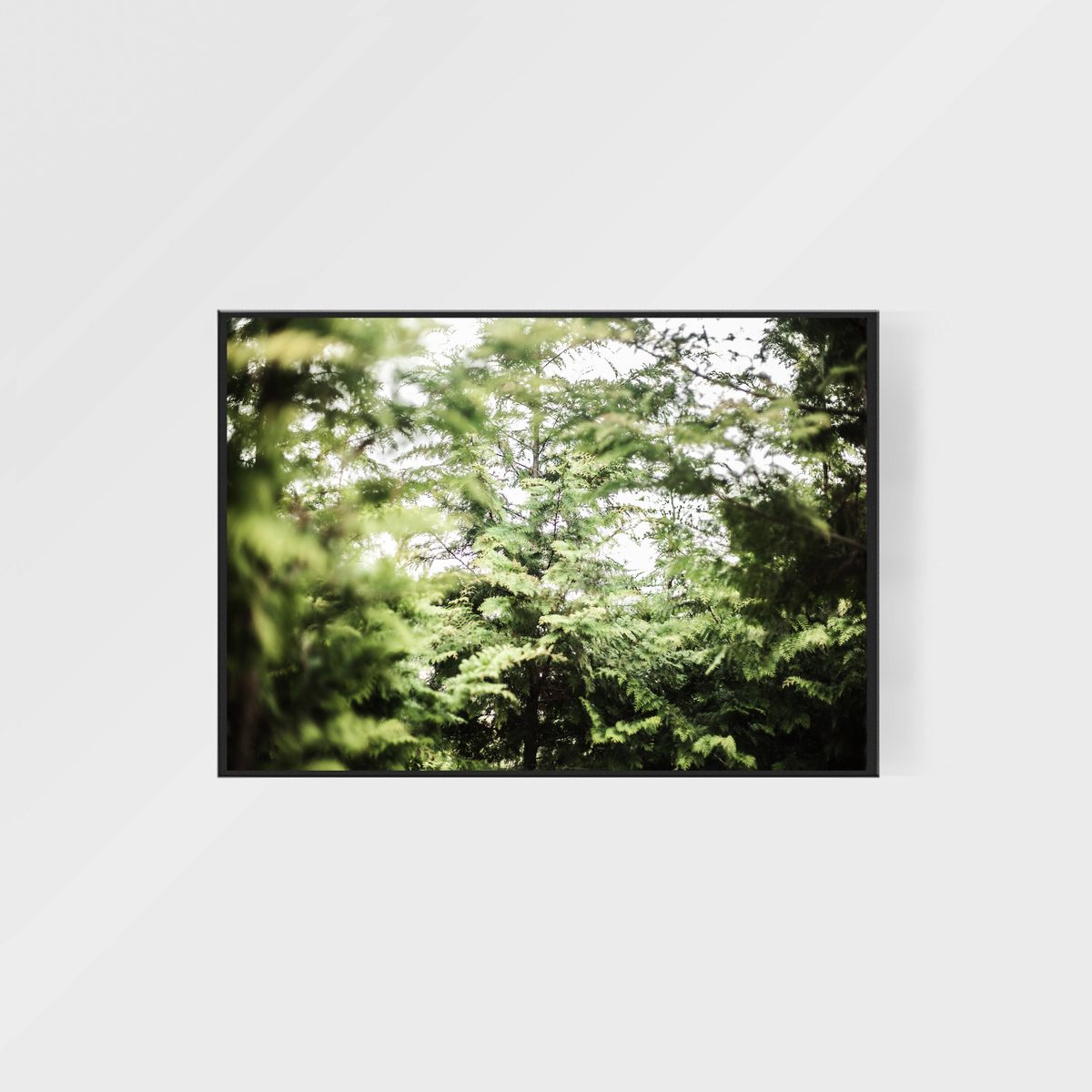 베이스언유즈(BASEDON_YOUTH) A3 forest_003 interior poster