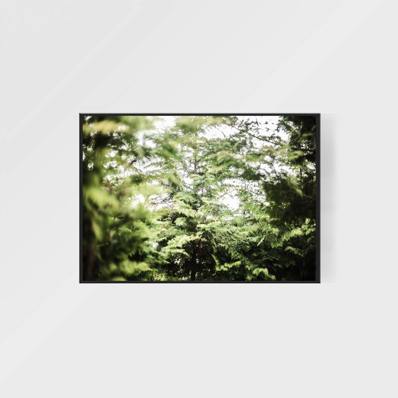 A3 forest_003 interior poster