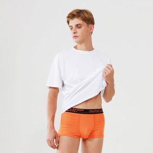 남성 트랜스미션 드로즈 오렌지 1매입 PMD2107-OR