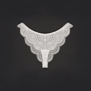 티 브리프 블랑