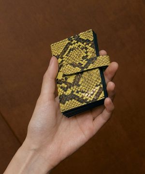 ACCORDION CARD WALLET(LIME)