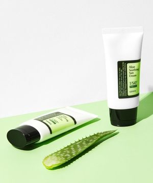 알로에 수딩 선 크림 듀오 세트 SPF50+ PA+++