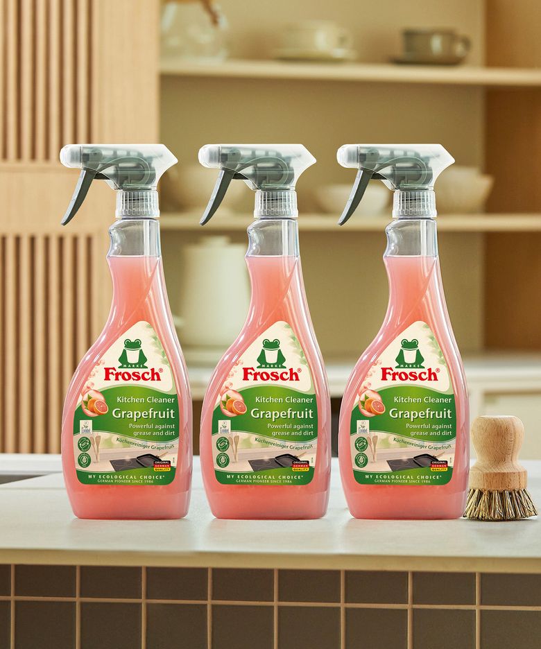 독일 다목적 자몽 기름때 클리너 500ml 3개