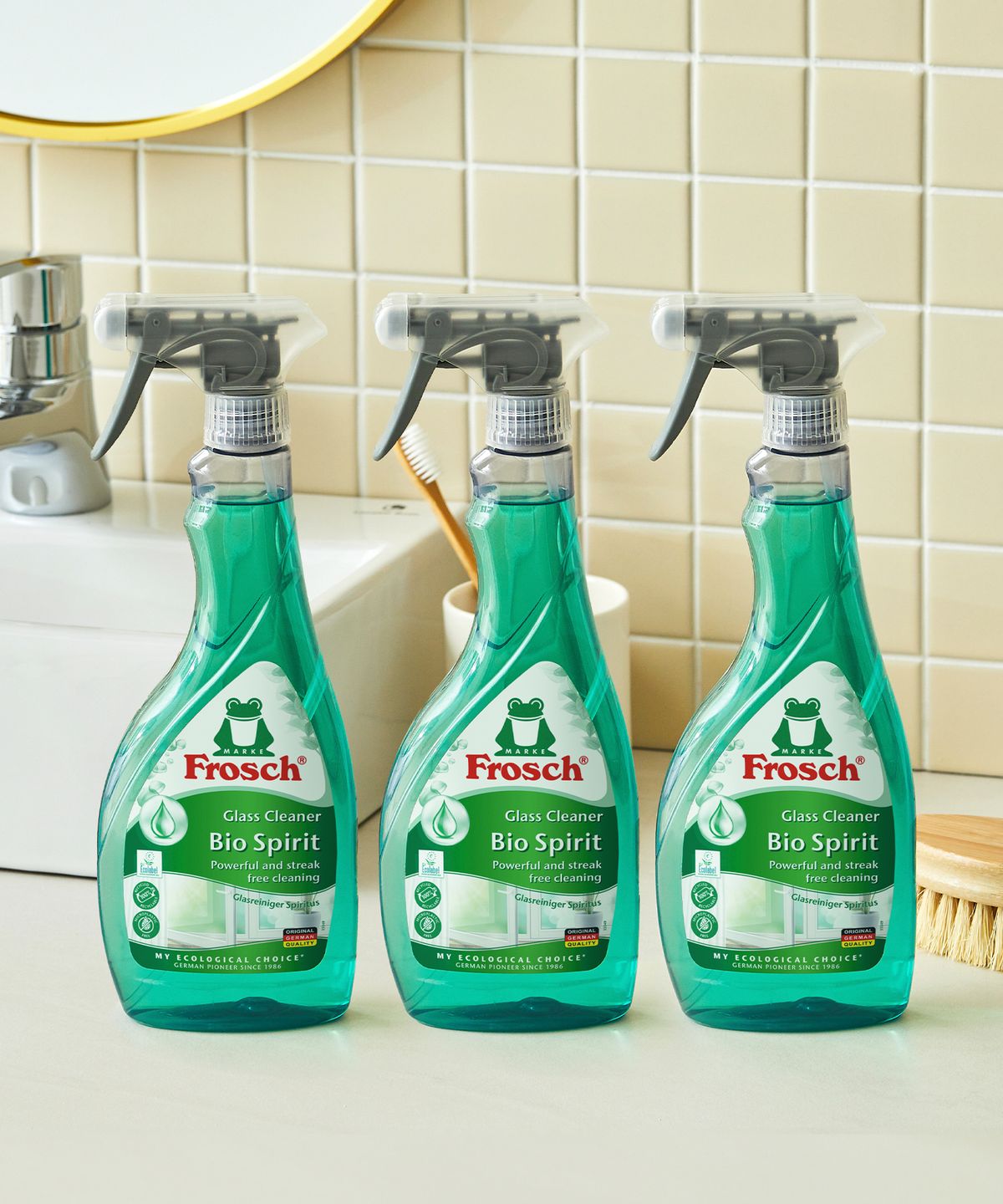 프로쉬(FROSCH) 독일 다목적 유리세정제 500ml 3개