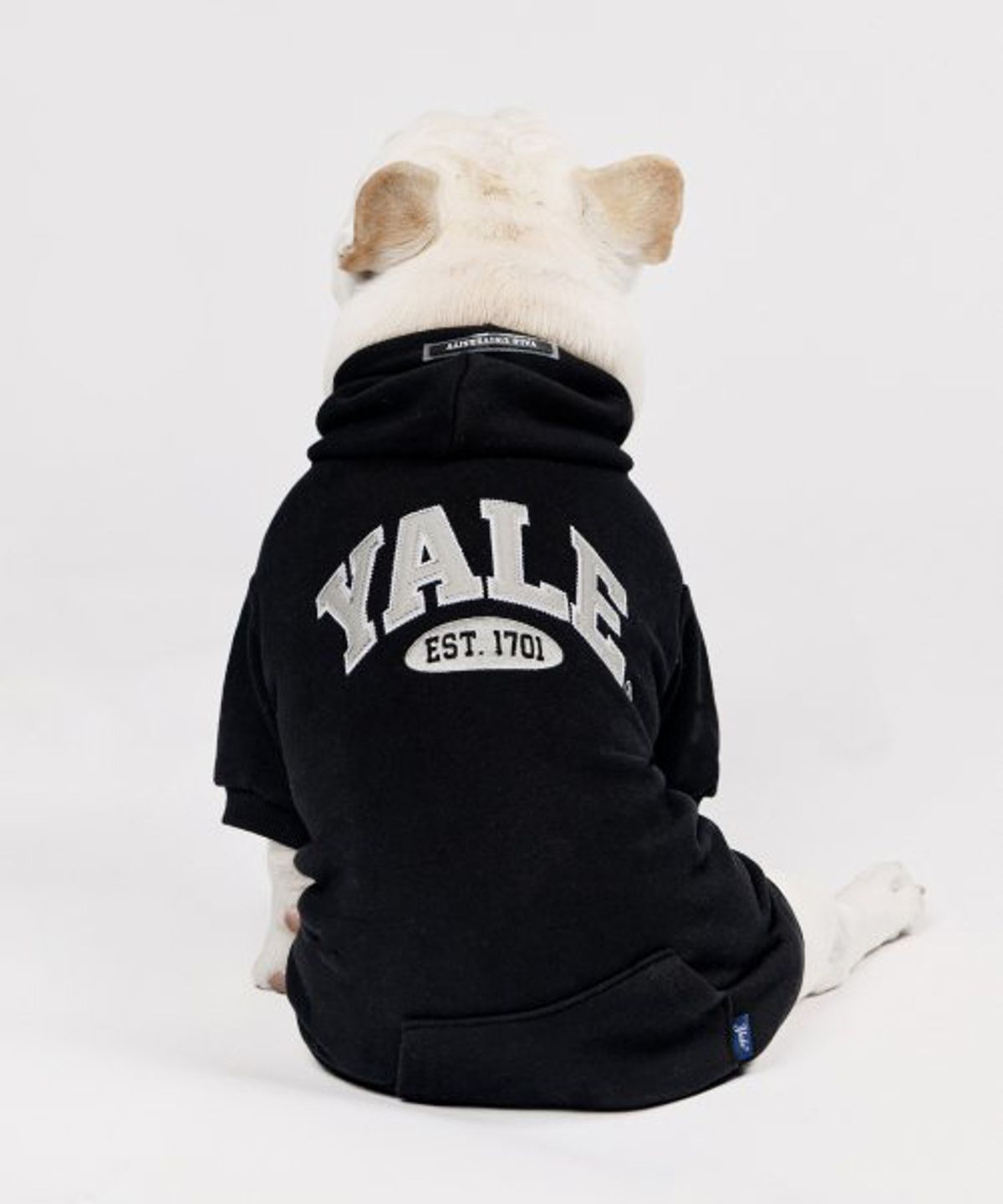 예일(YALE) 투톤아치 도기 후드_블랙