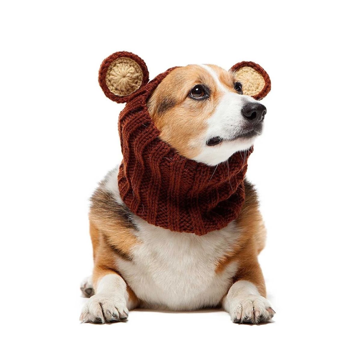 주스누드(ZOO SNOODS) 니트 후드 그리즐리 베어