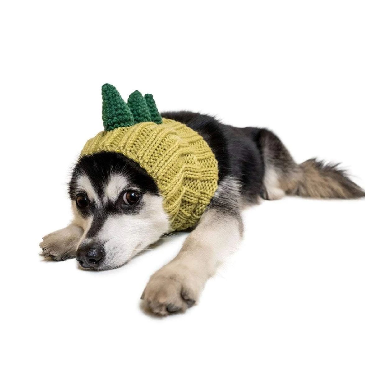 주스누드(ZOO SNOODS) 니트 후드 다이너소어