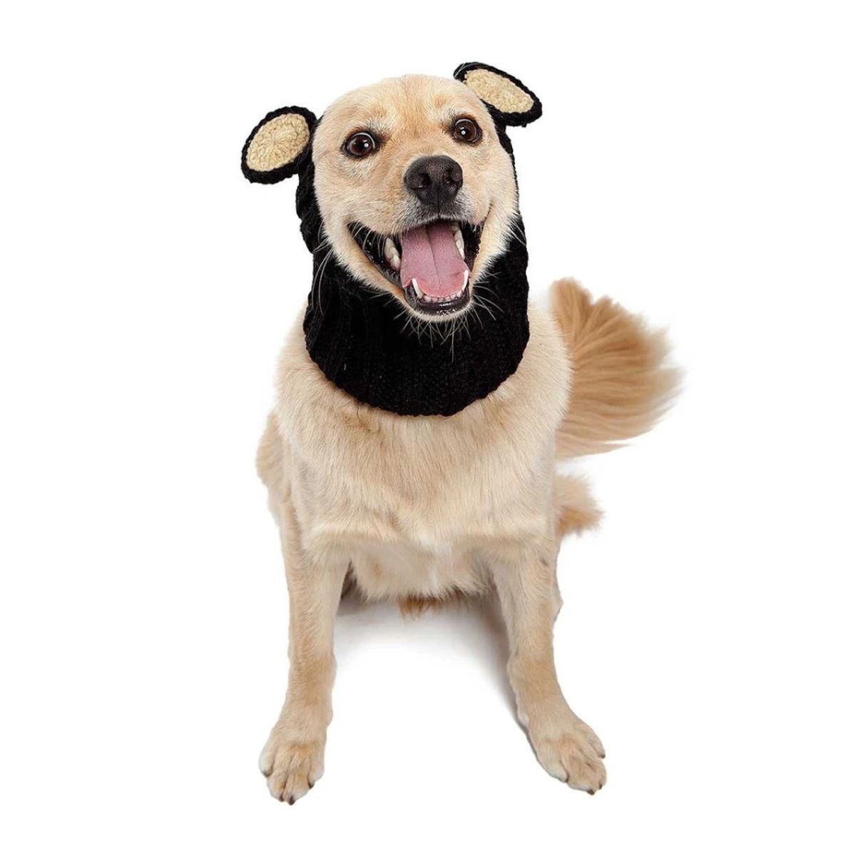 주스누드(ZOO SNOODS) 니트 후드 블랙 베어