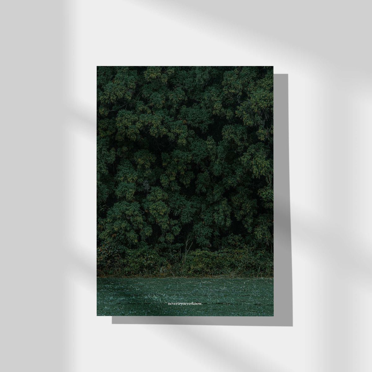 네버트라이네버노(NEVER TRY NEVER KNOW) 인테리어 포스터 The Colour of Jeju 6