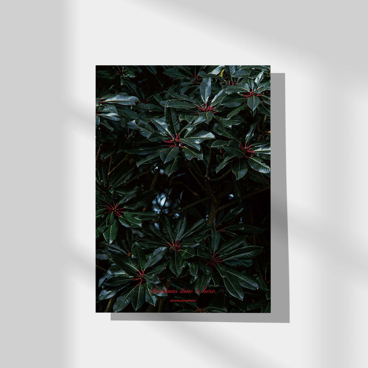 네버트라이네버노(NEVER TRY NEVER KNOW) 인테리어 포스터 Christmas time is here 1