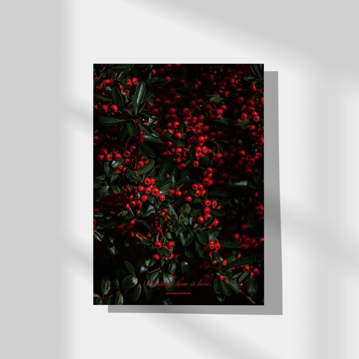 네버트라이네버노(NEVER TRY NEVER KNOW) 인테리어 포스터 Christmas time is here 3
