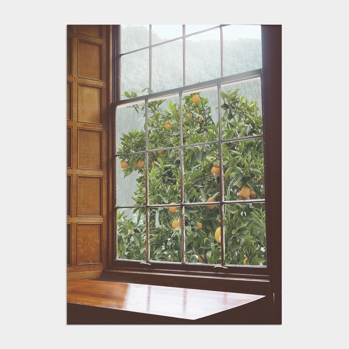 멜팅스튜디오(MELTING STUDIO) 나의 유럽 모먼트 여행 액자 인테리어 포스터 / 18번 Orange tree