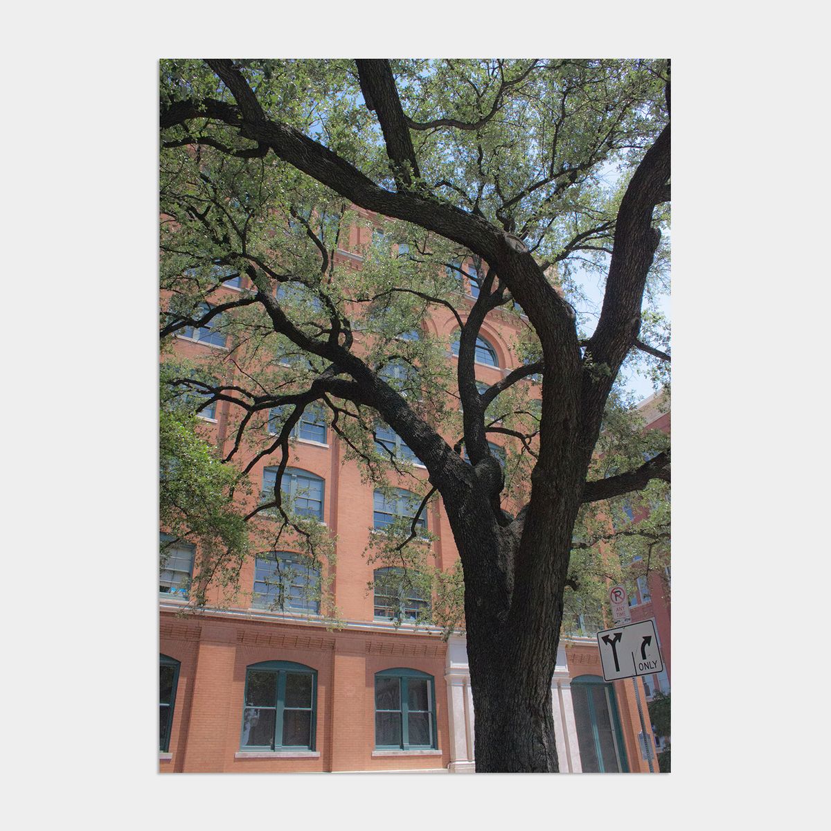 멜팅스튜디오(MELTING STUDIO) 나의 유럽 모먼트 여행 액자 인테리어 포스터 / 59번 Dallas TX USA