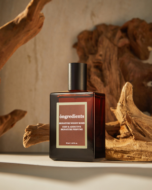 시그니처 우디 밤