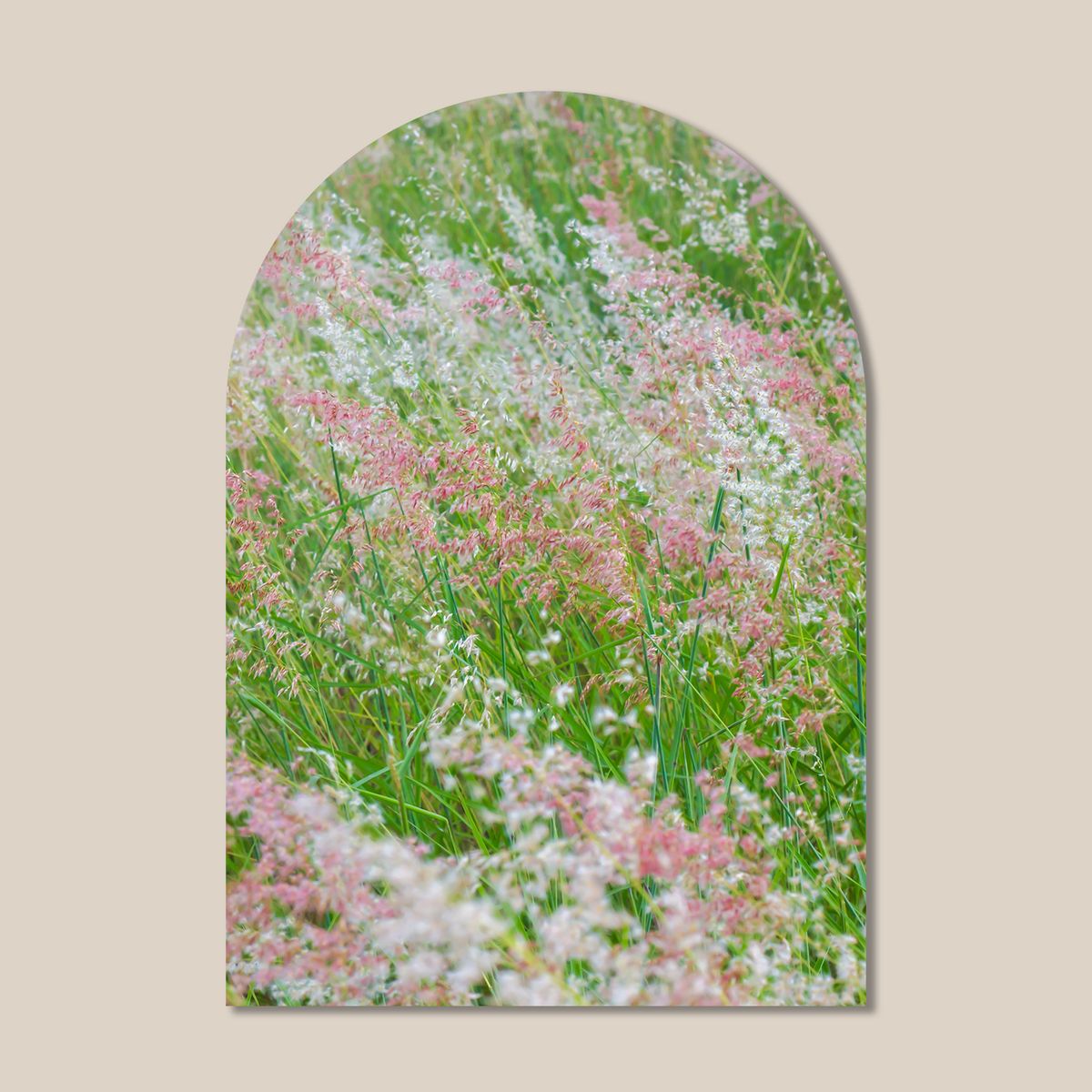 멜팅스튜디오(MELTING STUDIO) 마이 리틀 윈도우 접착 아치 인테리어 포스터  / 03번 Pink Grass Flower