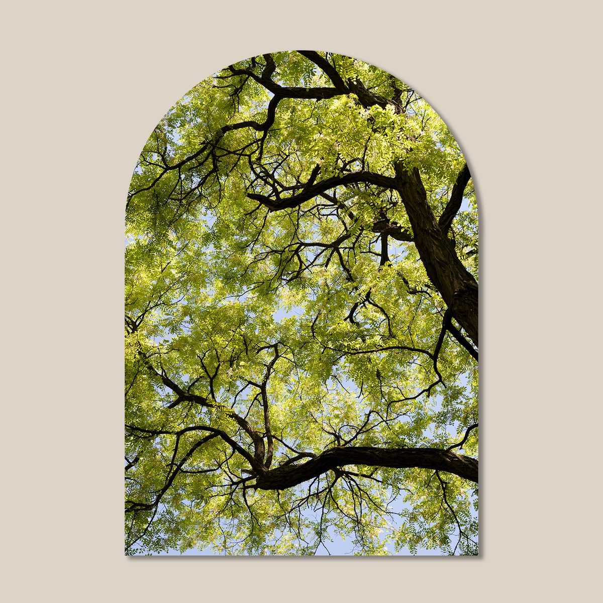 멜팅스튜디오(MELTING STUDIO) 마이 리틀 윈도우 접착 아치 인테리어 포스터  / 15번 Yellowish Green Tree