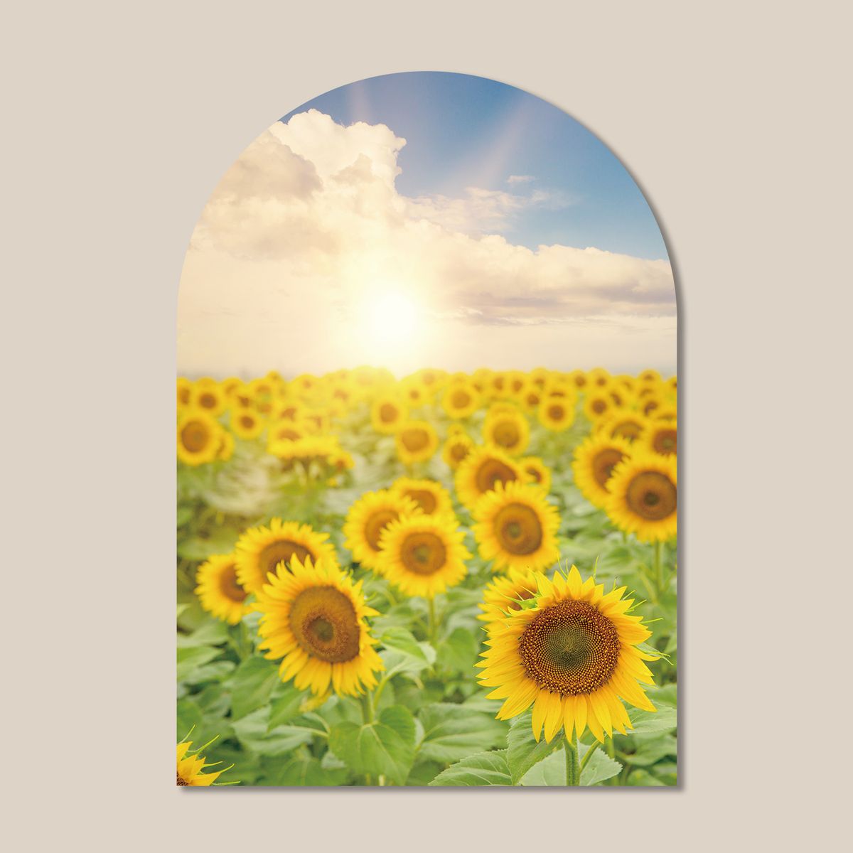 멜팅스튜디오(MELTING STUDIO) 마이 리틀 윈도우 접착 아치 인테리어 포스터  / 23번 Sunflower Field
