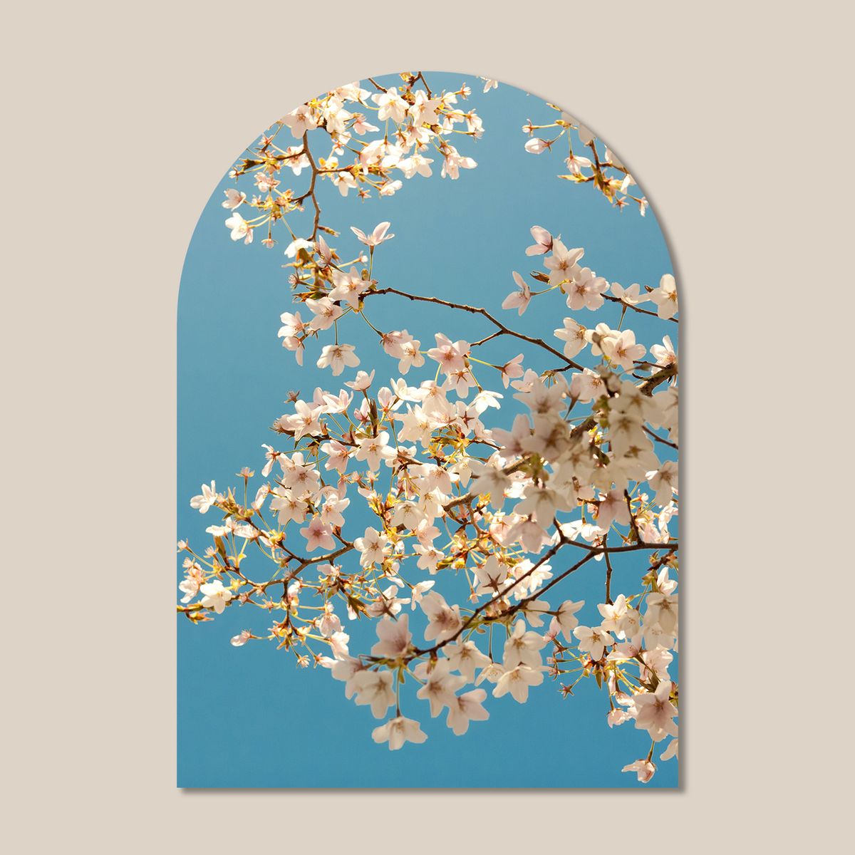 멜팅스튜디오(MELTING STUDIO) 마이 리틀 윈도우 접착 아치 인테리어 포스터  / 51번 Cherry Blossoms