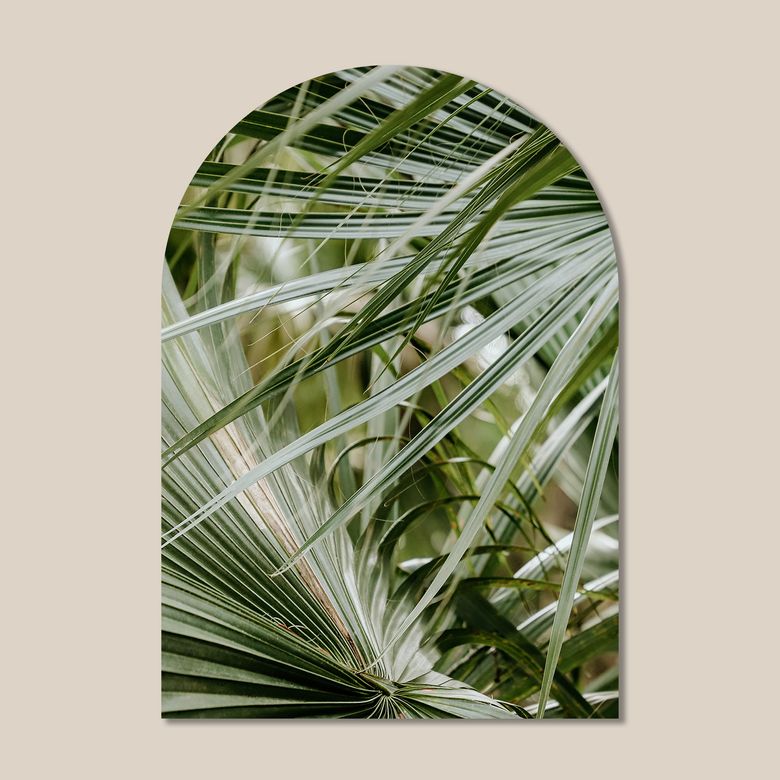 마이 리틀 윈도우 접착 아치 인테리어 포스터  / 61번 Palm Springs CA USA