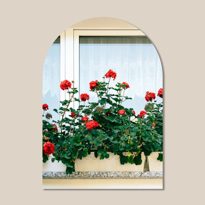 마이 리틀 윈도우 접착 아치 인테리어 포스터  / 73번 Cafe Terrace