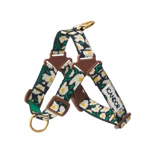 노-풀 하네스_빅피쉬