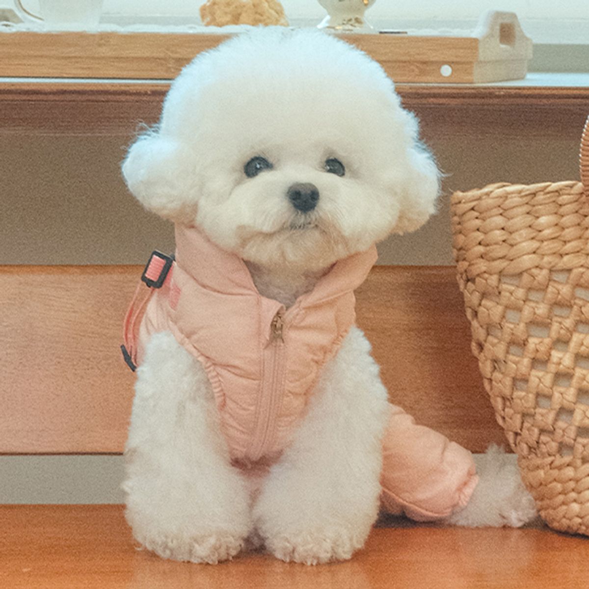 퍼피아(PUPPIA) 코튼 올인원 점퍼