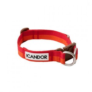 젠틀 카라 듀얼_썬셋