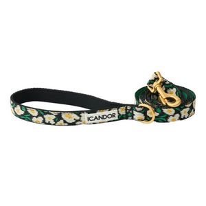 젠틀 리쉬_ 빅피쉬