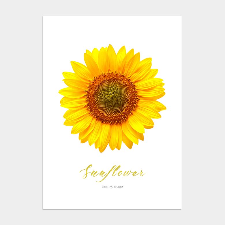 금전운 해바라기 액자 인테리어 포스터 / 01번 Yellow Sunflower