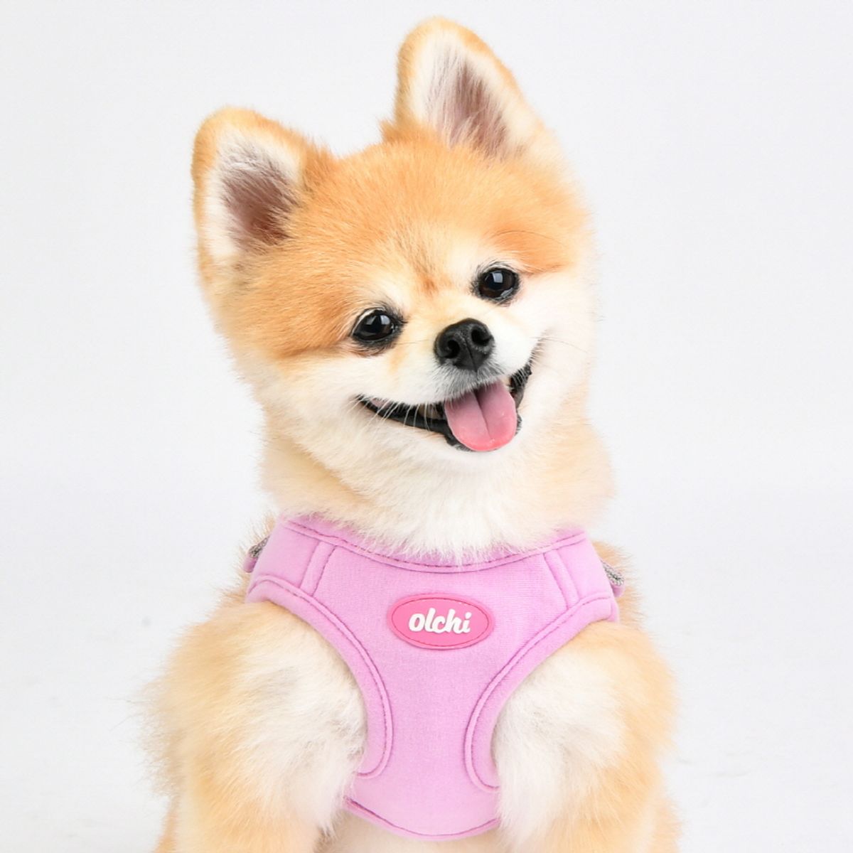 올치(OLCHI) 마카롱 하네스