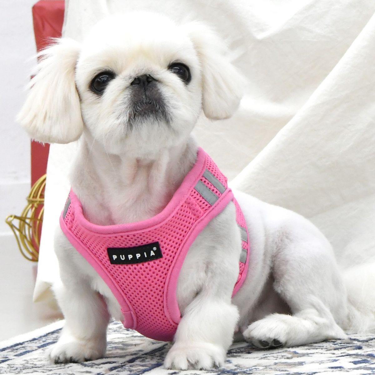퍼피아(PUPPIA) 쉴드 하네스 B(PAUA-HB1828)