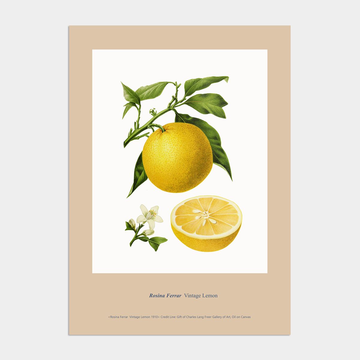 멜팅스튜디오(MELTING STUDIO) 빈티지 로코코 액자 인테리어 포스터 / 19번 Vintage Lemon