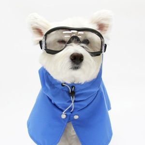 레인코트 - 블루