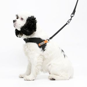 시그니처 하네스 - 블랙/오렌지