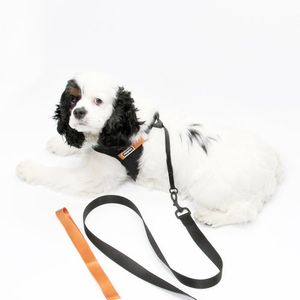 시그니처 리드줄 - 블랙/오렌지