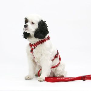 오리지널 로고 H형 하네스 - 레드