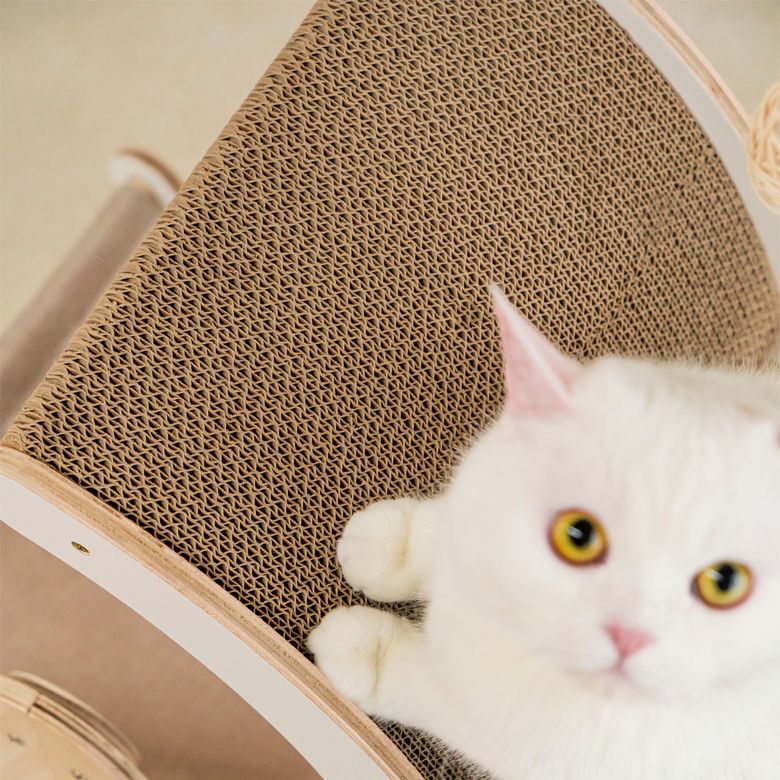 원목 미니 고양이 캣타워 리필용 스크래쳐