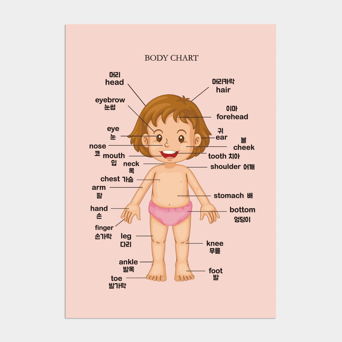 멜팅스튜디오(MELTING STUDIO) 아이방 학습 액자 인테리어 포스터  / 07번 body chart - girl